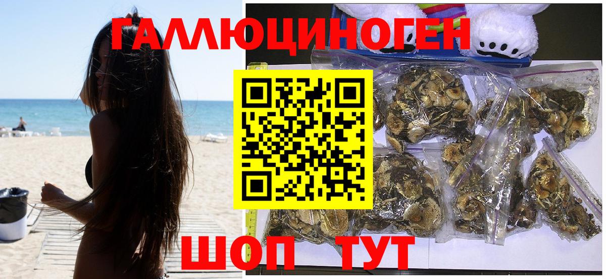 Галлюциногенные грибы GOLDEN TEACHER Котлас