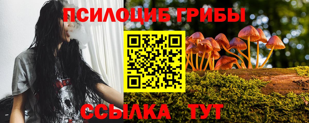 Галлюциногенные грибы мухоморы  где купить   Котлас  Псилоцибиновые грибы Cubensis  Вход с VPN 